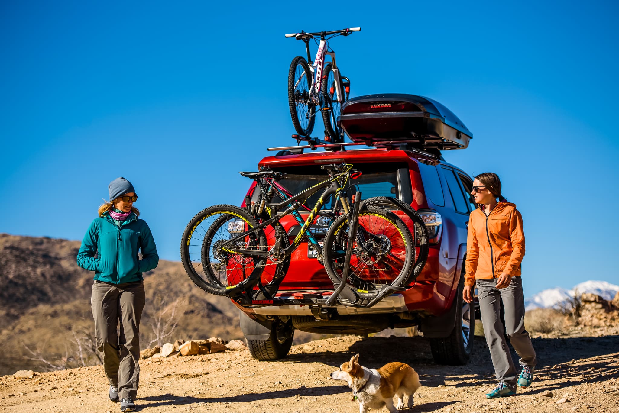 Yakima Platform Style Hitch Bike Racks
